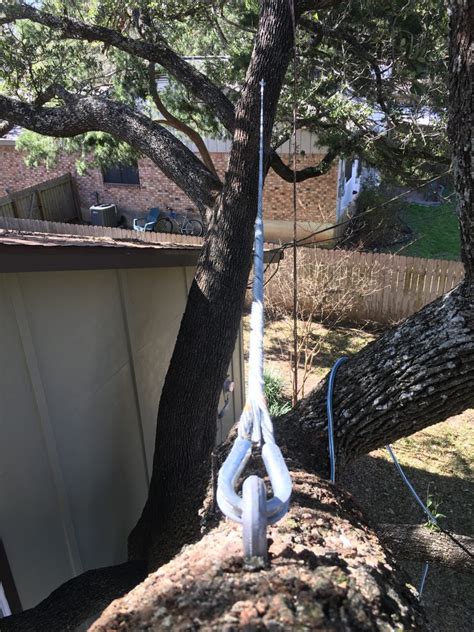 mounting wire to tree